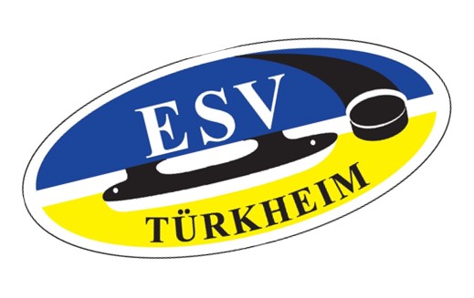 Logo ESVT